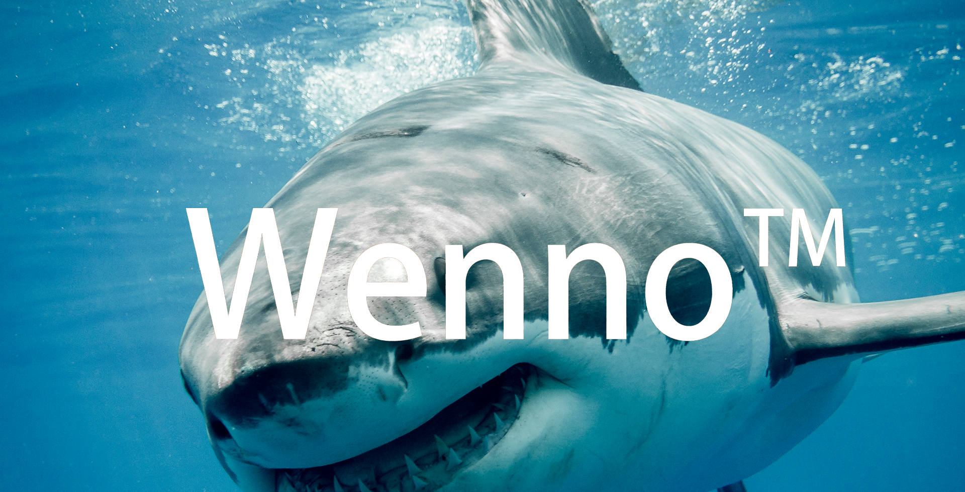 wenno toys